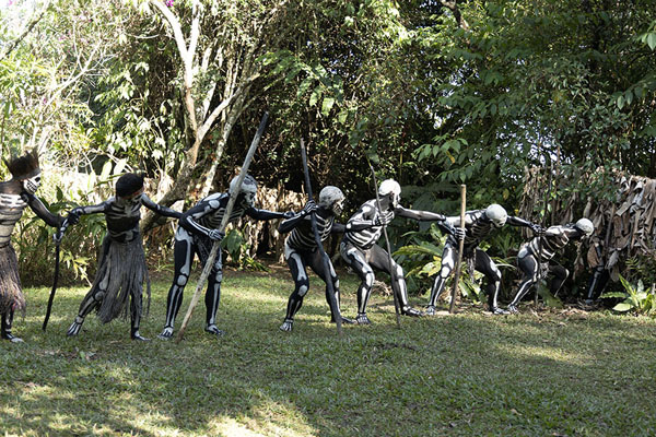 Row of skeleton men trying to pull the monster out of the bushes by its tail | Skeleton Men | Papúa Nueva Guinea