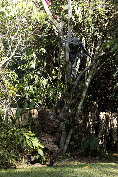 Skeleton man in a tree, with the monster trying to catch him | Skeleton Men | Papoea Nieuw Guinea
