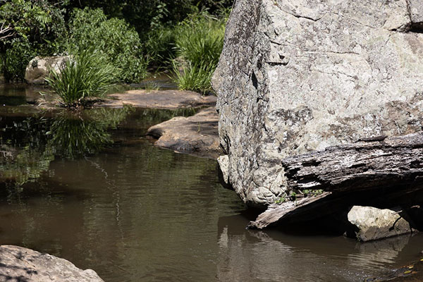 Foto van Boulders in a stream in Ybycui National ParkYbycui National Park - Paraguay
