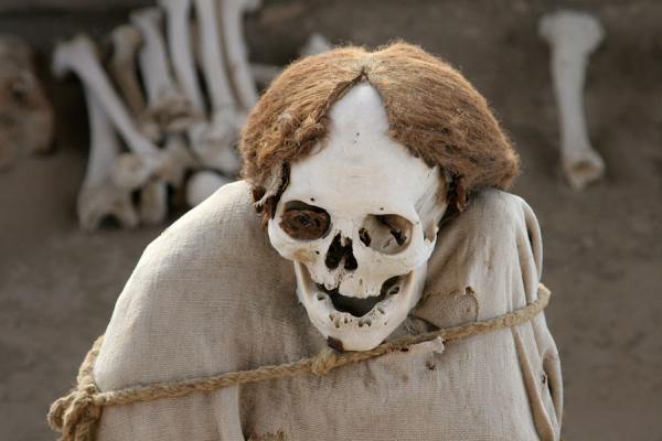 Picture of Chauchilla cemetery (Peru): Skull and bones in a grave at Chauchilla cemetery