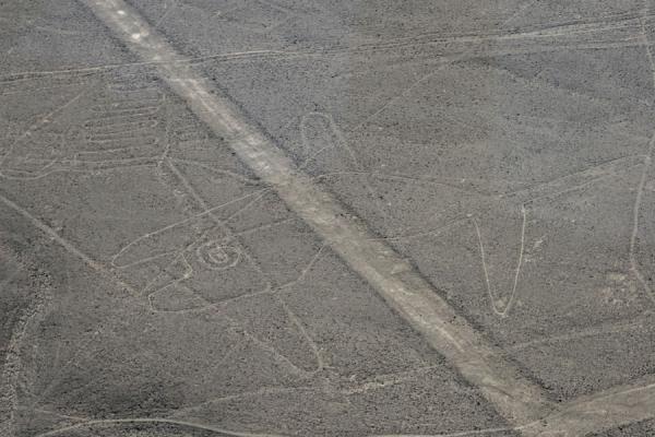 Picture of Nazca lines (Peru): The Whale is the geoglyph closest to Nazca