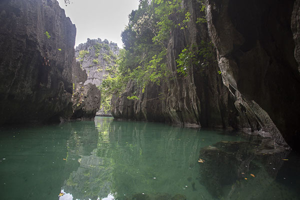 The Small Lagoon on Miniloc Island | Bacuit archipelago | Philippines
