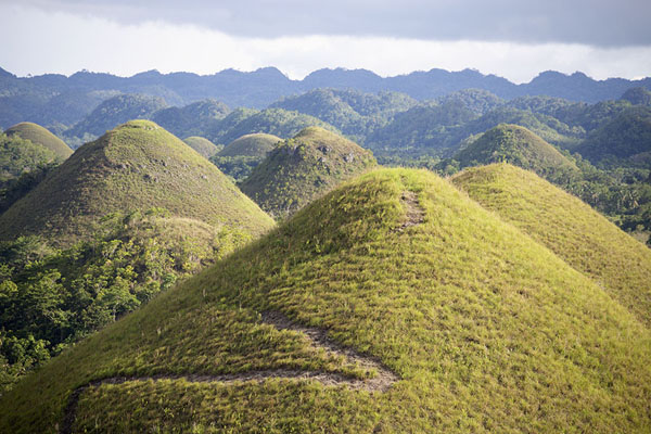 View from the viewpoint over the Chocolate Hills | Chocolate Hills | Filipinas