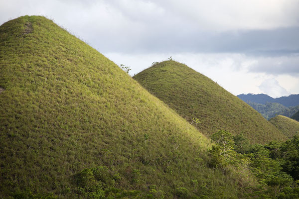 Foto van Two of the Chocolate HillsChocolate Hills - Filippijnen