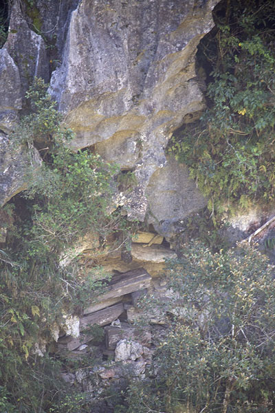 Picture of Limestone cliff with coffins outside SagadaSagada - Philippines