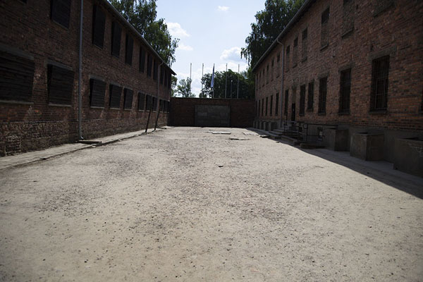 Picture of The Death Wall in AuschwitzAuschwitz-Birkenau - Poland