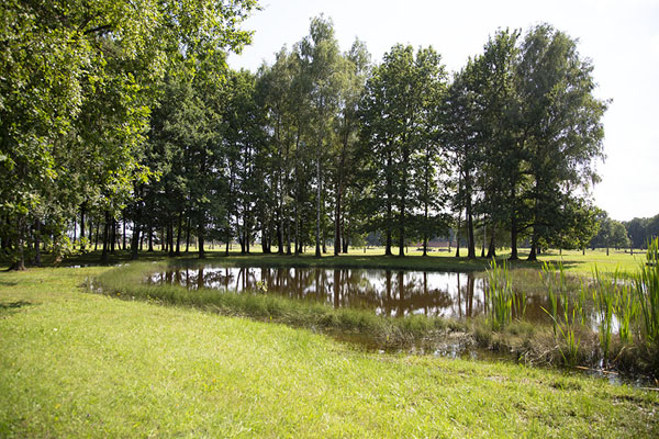 Picture of Pond where ashes of people were dispersed after they were crematedAuschwitz-Birkenau - Poland