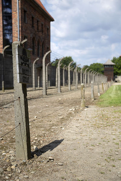Picture of Fence near some of the barracks in AuschwitzAuschwitz-Birkenau - Poland