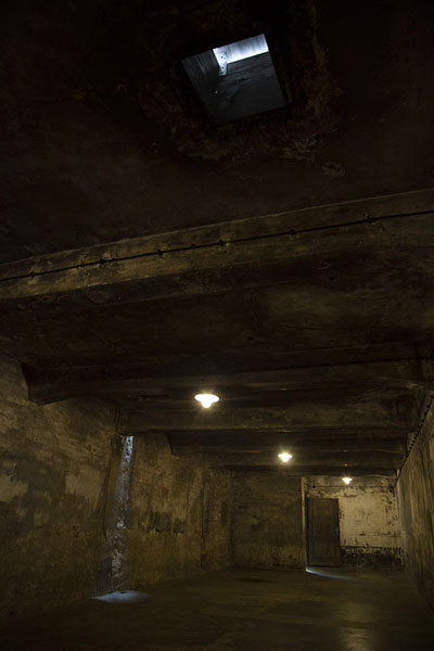 Picture of Interior of a gas chamber in AuschwitzAuschwitz-Birkenau - Poland