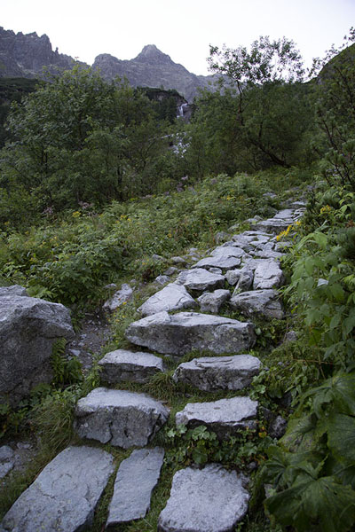 Stone steps between Morskie Oko and Czarny Staw pod Rysami lakes | Mount Rysy | Poland
