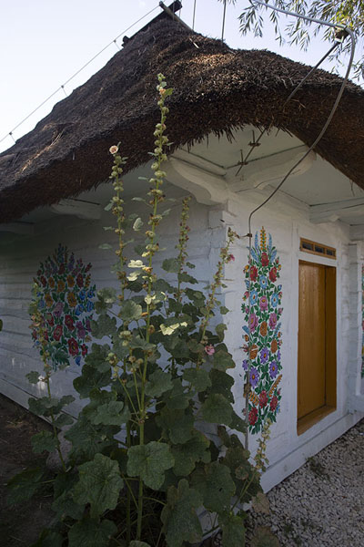 Picture of One of the painted houses of Zalipie seen from a cornerZalipie - Poland