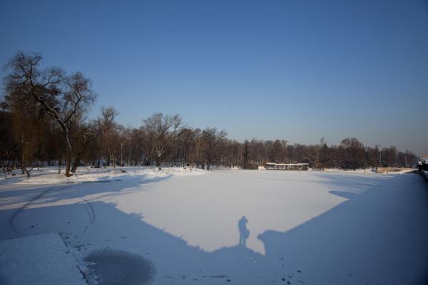 Picture of Lake Filaret in Carol Park frozen and covered by snowBucharest - Romania
