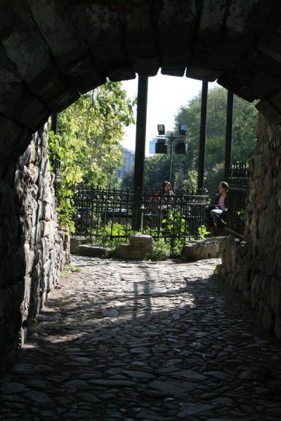 Picture of Terrace in Cismigiu Gardens