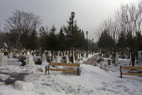Close-up of tombstone of a hero fallen in the 1989 revolution | Begraafplaats van de Helden van de Revolutie | Roemenië