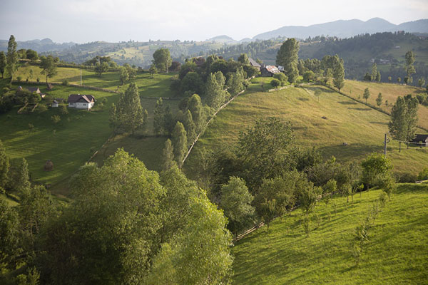Close-up of a hill near Măgura | Villages Kalibash | Roumanie