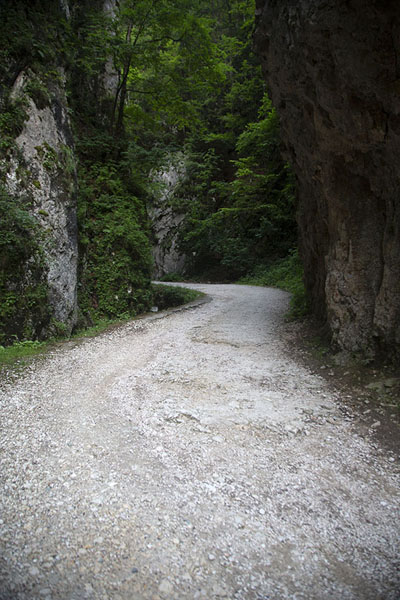 Photo de The track through the gorgeKalibash - Roumanie