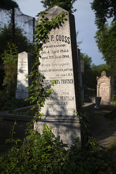 The cemetery near the Church on the hill | Sighișoara | Roumanie