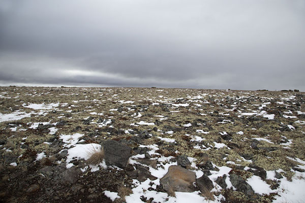 Photo de The plateau with wide views ahead on the Vulkashiki trailBystrinsky Nature Park - Russie