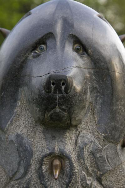 Close-up of a dog in the Sculpture Park | Parque de las estatuas | Rusia