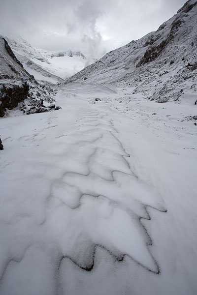 Foto de Black sediments in the snow on the slope leading to the craterMutnovsky - Rusia