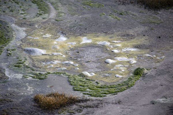 Foto van Close-up of pool with geothermal activity in Uzon Caldera - Rusland - Europa