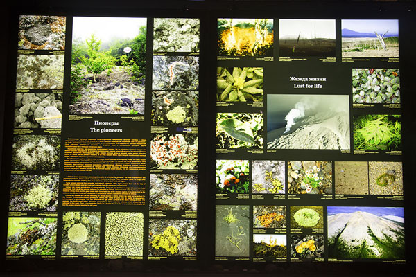 Foto van Board with explanations about the regeneration of life after volcanic eruptions - Rusland - Europa