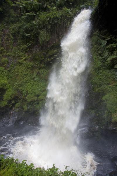 Picture of Isumo waterfall trail (Rwanda): Water rushing down at the main waterfall of Nuyngwe National Park