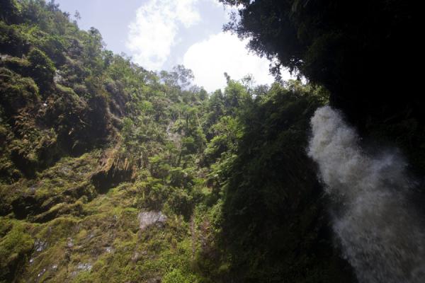 Looking up the main waterfall with lush vegetation | Isumo waterfall trail | Rwanda