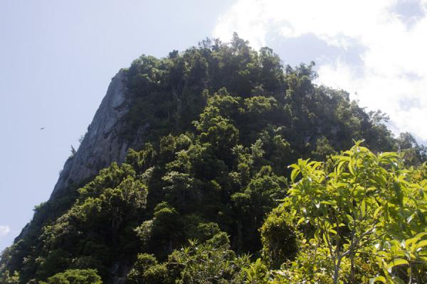 Picture of The summit of Petit Piton seen from the ridgeSoufrière - Saint Lucia