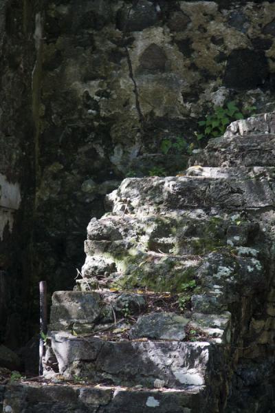 Foto de Ruins of stairs which were part of the Fort Rodney complex on Pigeon IslandPigeon Island - Santa Lucia