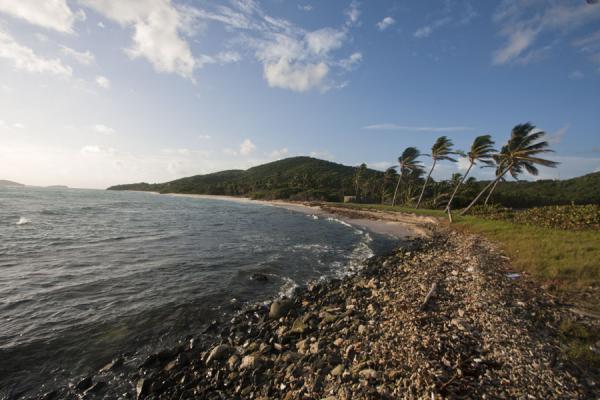 Picture of The coastline on the northeast of Mayreau islandMayreau - Saint Vincent and the Grenadines