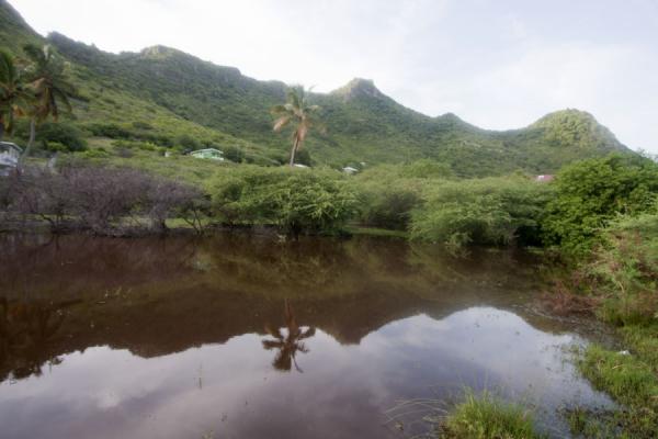 Foto van Mountain range of Union Island reflected in a pondUnion  Island - Saint Vincent en de Grenadines