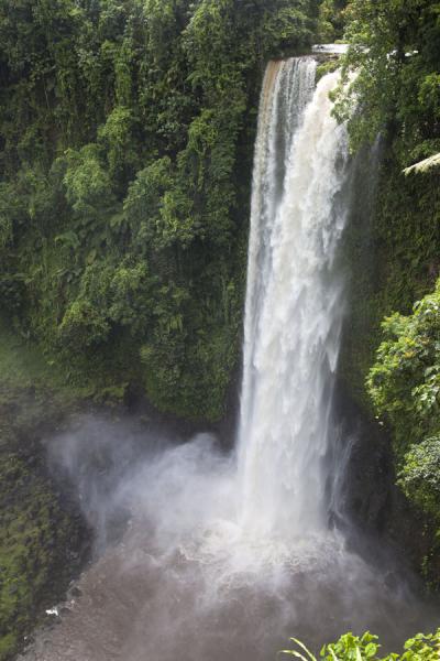 Picture of Samoan waterfalls (Samoa): View of Fuipisia waterfall in the east of Upolu island