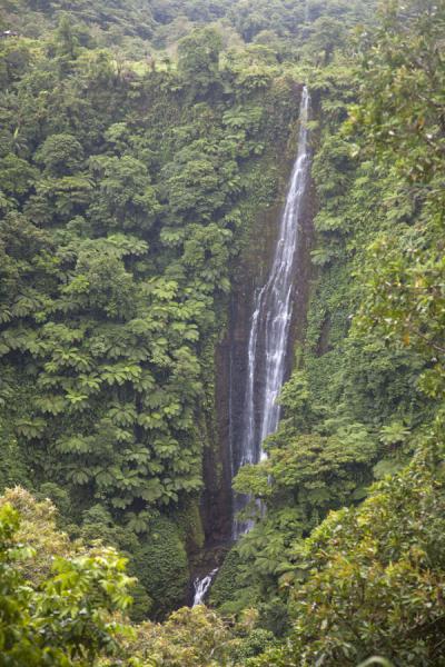Picture of Samoan waterfalls (Samoa): Papapapai-uta waterfall south of the capital Apia