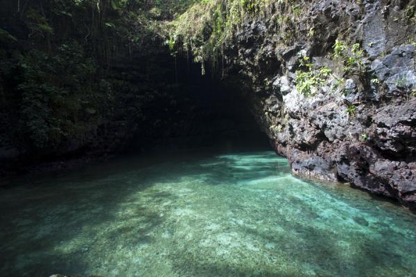 Foto de The green waters of the To Sua waterhole seen from aboveTo Sua - Samoa