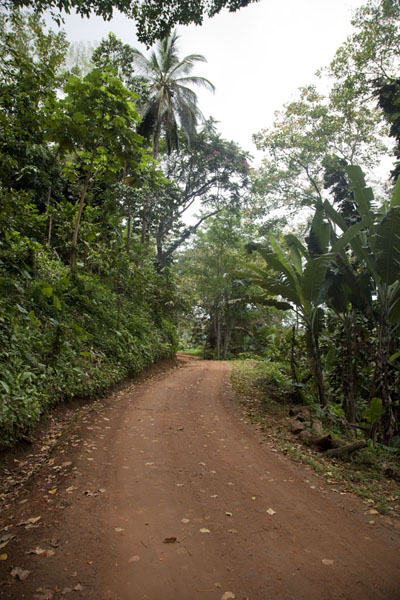 The main road to Belo Monte | Belo Monte hike | São Tomé and Príncipe