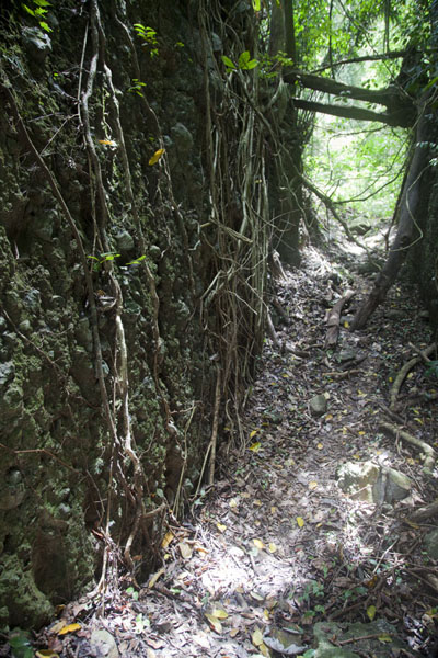 Picture of Cascata Angolar (São Tomé and Príncipe): Stretch of the trail up to Cascata Angolar