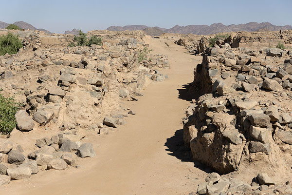 Looking out over the archaeological site of Al Ukhdud from the western entrance | Al Ukhdud | Saudi Arabia