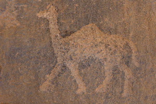 Foto de Camel engraved in one of the walls of the ruins of the historic city of Al UkhdudNajran - Arabia Saudita