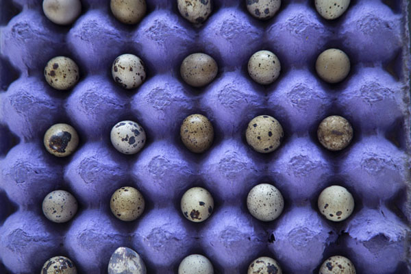 Quail eggs in a purple box at the market | Marché du vendredi de Hail | Arabie Saoudite