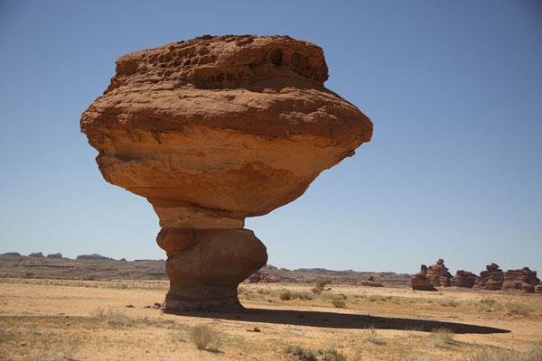 Picture of Mushroom Rock (Saudi Arabia): Empty plain with Mushroom Rock