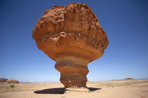 Picture of Mushroom Rock (Saudi Arabia): Mushroom Rock towering above the plain