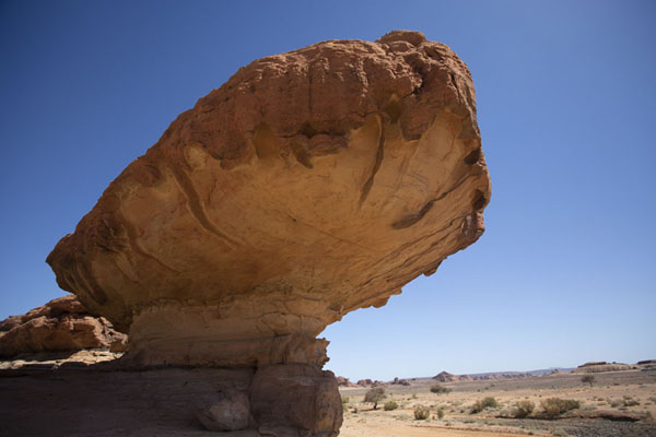 Picture of Mushroom Rock (Saudi Arabia): A small mushroom rock near Abu Rakah