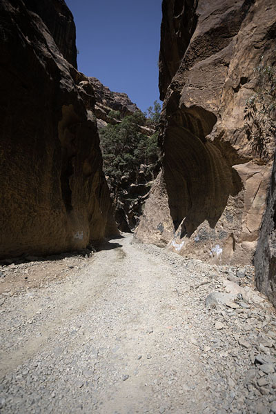 Steep rock faces rising straight from Wadi Lajab | Wadi Lajab | Arabie Saoudite
