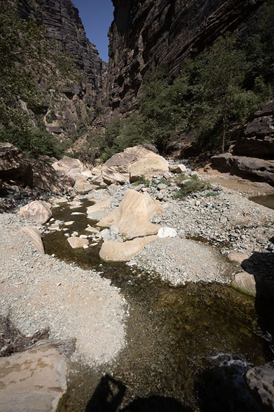 Picture of Water flowing through the rocky floor of Wadi Lajab with trees and boulders - Saudi Arabia - Asia