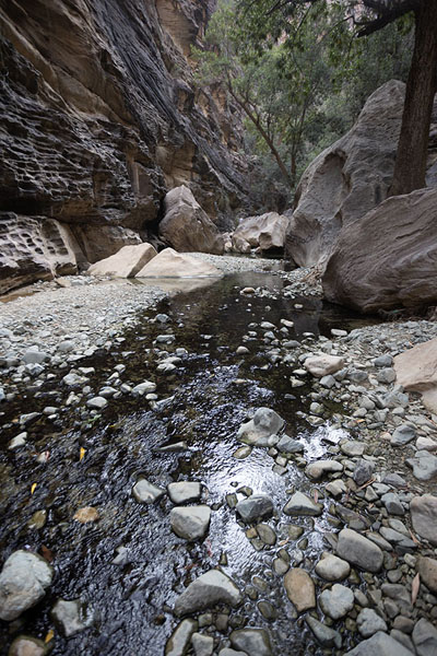 Picture of Water running through Wadi LajabWadi Lajab - Saudi Arabia