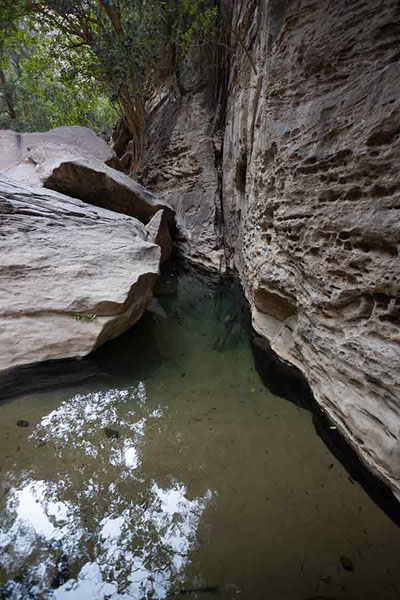 Water running under the rock face of the canyon | Wadi Lajab | Saudi Arabia