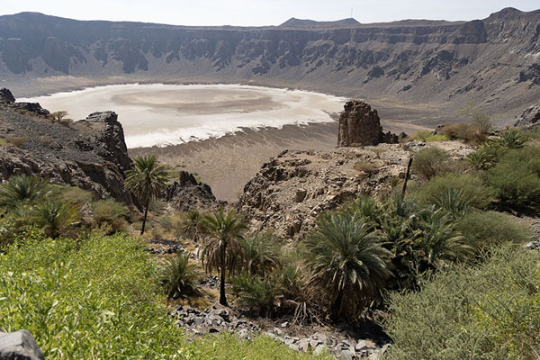 Picture of Wahbah Crater (Saudi Arabia): Vegetation at the edge of the Wahbah crater with the white centre in the background