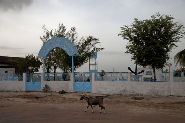 Picture of Goat passing the park commemorating the boat disaster of the Joola in 2002 - Senegal - Africa