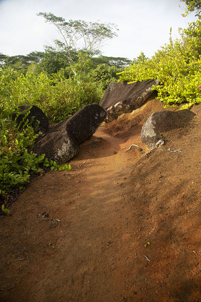 Picture of Trail running over the ridge near the Nid d'Aigle, the highest point of La DigueLa Digue - Seychelles